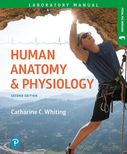 Human Anatomy & Physiology Laboratory Manual: Making Connections, Fetal Pig Version