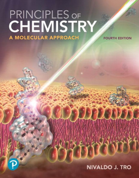 Principles of Chemistry: A Molecular Approach / Edition 4