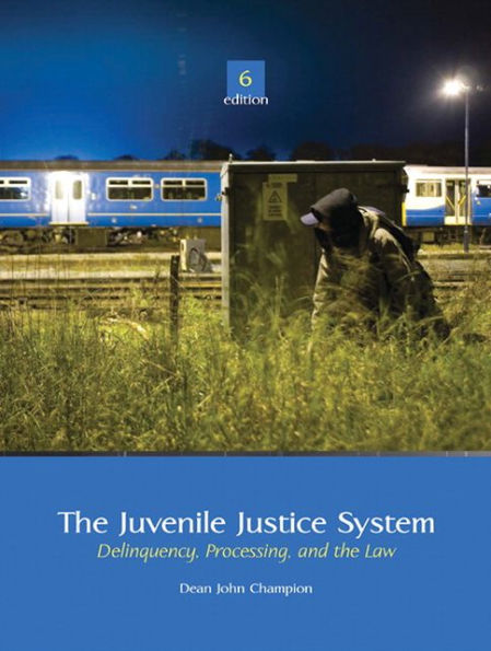 The Juvenile Justice System