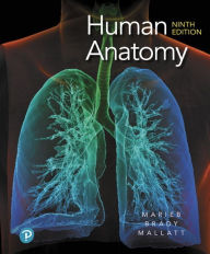 Title: Human Anatomy / Edition 9, Author: Elaine Marieb