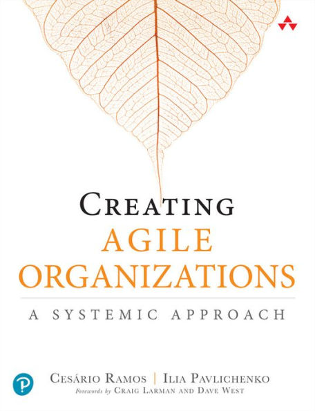 Creating Agile Organizations: A Systemic Approach / Edition 1