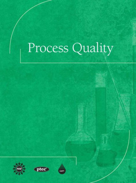 Process Quality / Edition 1