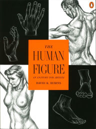 Title: The Human Figure: An Anatomy for Artists, Author: David K. Rubins