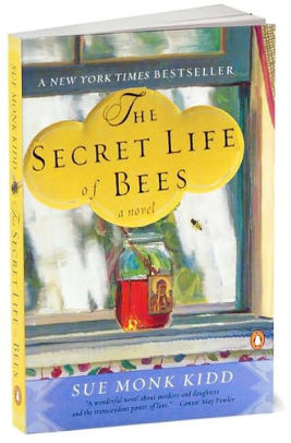 the secret life of bees short summary