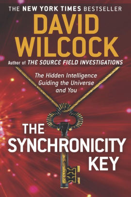 The Synchronicity Key The Hidden Intelligence Guiding The Universe And Youpaperback - 