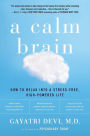 A Calm Brain: How to Relax into a Stress-Free, High-Powered Life