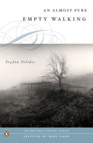 Title: An Almost Pure Empty Walking, Author: Tryfon Tolides