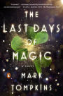 The Last Days of Magic: A Novel