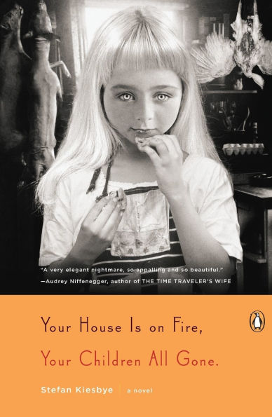 Your House Is on Fire, Children All Gone: A Novel