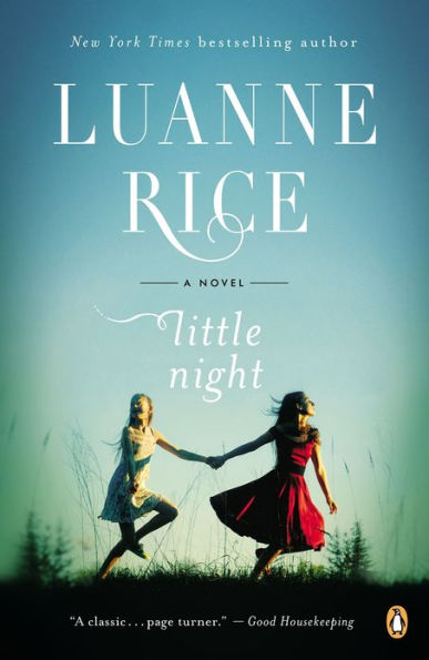 Little Night: A Novel