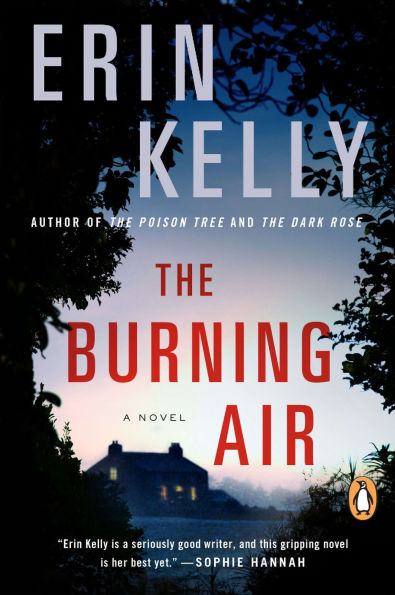 The Burning Air: A Novel