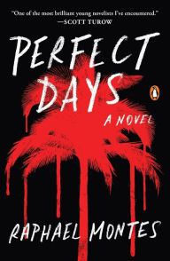 Title: Perfect Days: A Novel, Author: Raphael Montes