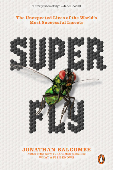 Super Fly: the Unexpected Lives of World's Most Successful Insects