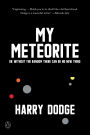 My Meteorite: Or, Without the Random There Can Be No New Thing