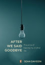 After We Said Goodbye