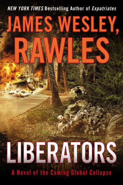 Liberators: A Novel of the Coming Global Collapse