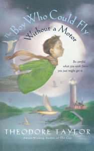 Title: The Boy Who Could Fly without a Motor, Author: Theodore Taylor