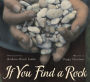 If You Find A Rock