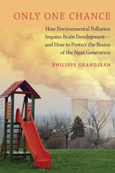 Only One Chance: How Environmental Pollution Impairs Brain Development -- and to Protect the Brains of Next Generation