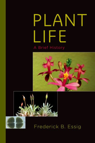 Plant Life: A Brief History