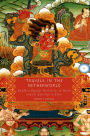 Travels in the Netherworld: Buddhist Popular Narratives of Death and the Afterlife in Tibet