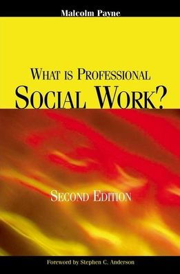 What Is Professional Social Work? / Edition 2