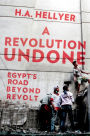 A Revolution Undone: Egypt's Road Beyond Revolt