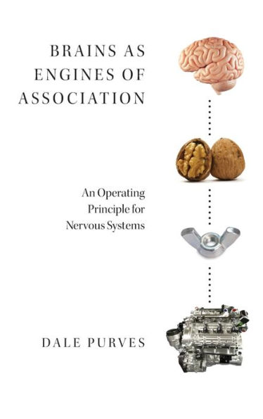 Brains as Engines of Association: An Operating Principle for Nervous Systems