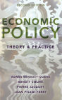 Economic Policy: Theory and Practice