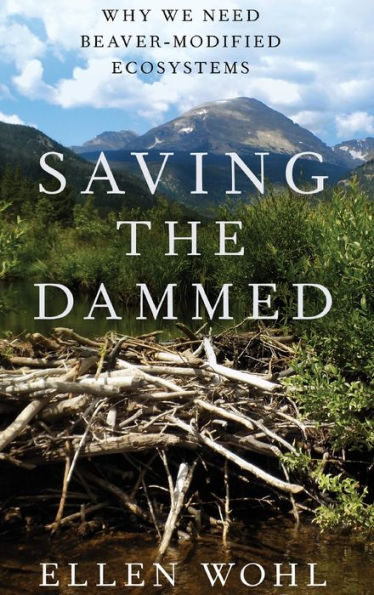 Saving the Dammed: Why We Need Beaver-Modified Ecosystems