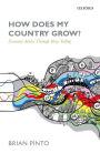 How Does My Country Grow?: Economic Advice Through Story-Telling