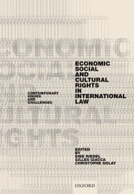 Title: Economic, Social, and Cultural Rights in International Law: Contemporary Issues and Challenges, Author: Eibe Riedel