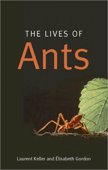 The Lives of Ants