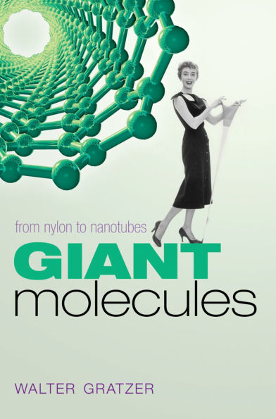 Giant Molecules: From nylon to nanotubes