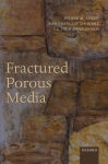 Alternative view 2 of Fractured Porous Media