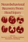 Neurobehavioral Recovery from Head Injury / Edition 1