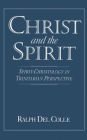 Christ and the Spirit: Spirit-Christology in Trinitarian Perspective