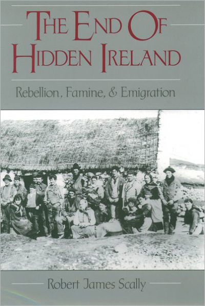 The End of Hidden Ireland: Rebellion, Famine, and Emigration / Edition 1