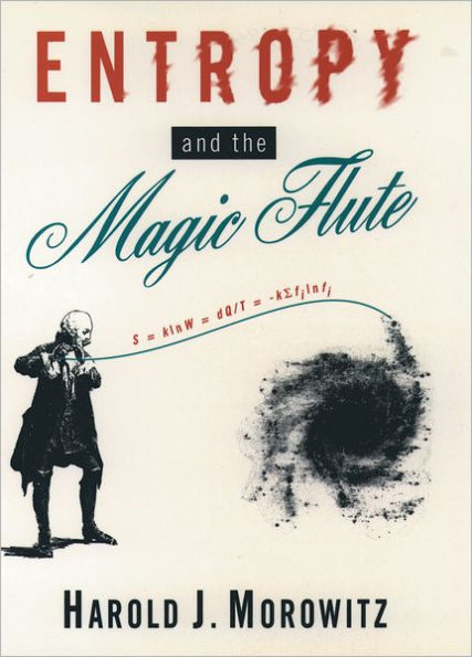 Entropy and the Magic Flute / Edition 1