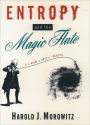 Entropy and the Magic Flute / Edition 1