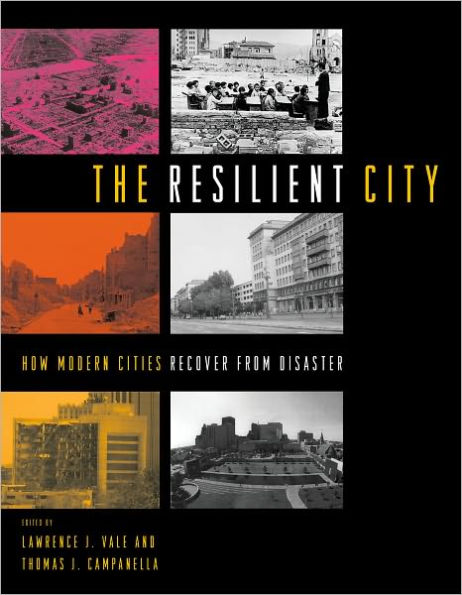 The Resilient City: How Modern Cities Recover from Disaster