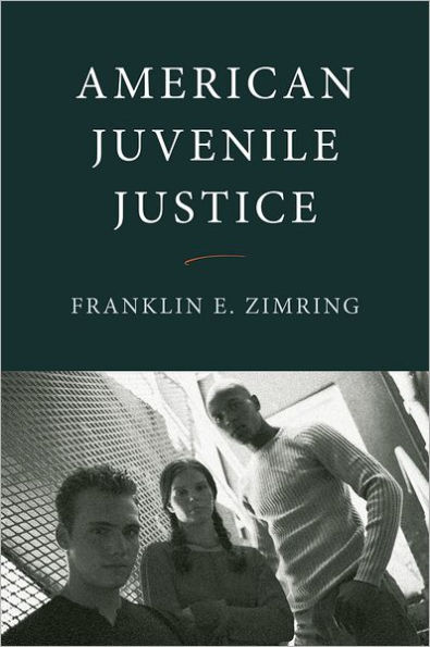 American Juvenile Justice / Edition 2