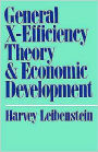 General X-Efficiency Theory and Economic Development