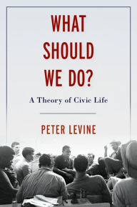 Title: What Should We Do?: A Theory of Civic Life, Author: Peter Levine