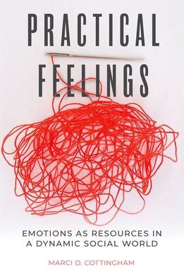 Practical Feelings: Emotions as Resources a Dynamic Social World