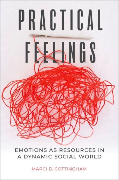 Practical Feelings: Emotions as Resources in a Dynamic Social World