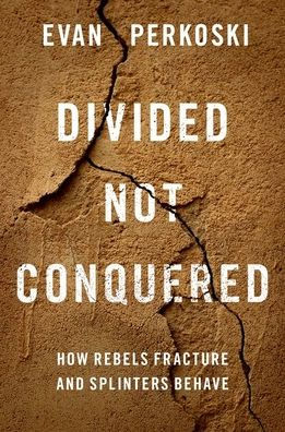 Divided Not Conquered: How Rebels Fracture and Splinters Behave