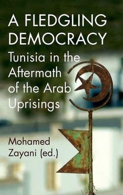 A Fledgling Democracy: Tunisia the Aftermath of Arab Uprisings