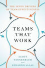 Teams That Work: The Seven Drivers of Team Effectiveness