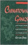 Title: Chinatown Gangs: Extortion, Enterprise, and Ethnicity, Author: Ko-Lin Chin